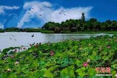宁夏银川鸣翠湖入选全国首批特色生态旅游地典型案例